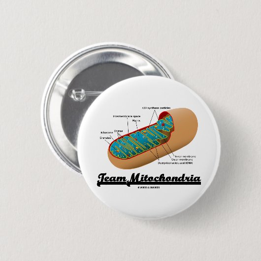 Team-Mitochondrien (Mitochondrion Spaß) Button (Vorne & Hinten)