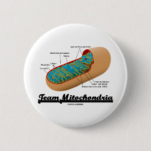 Team-Mitochondrien (Mitochondrion Spaß) Button