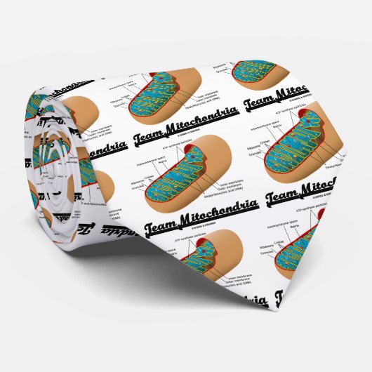 Team-Mitochondrien (Mitochondrion Spaß) Krawatte (Gerollt)
