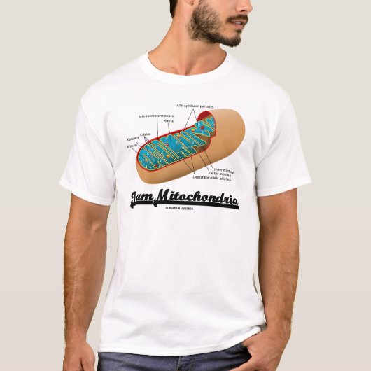 Team-Mitochondrien (Mitochondrion Spaß) T-Shirt (Vorderseite)