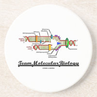Team-Molekularbiologie (DNS-Reproduktion)