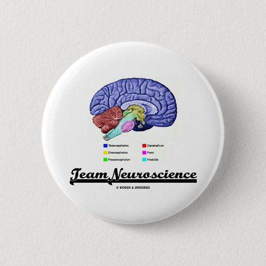 Team-Neurologie (Gehirn-Anatomie-Haltung) Button (Vorderseite)