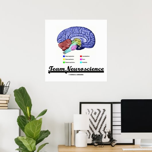 Team Neuroscience (Hirnanatomie Attitude) Poster (Heimbüro)