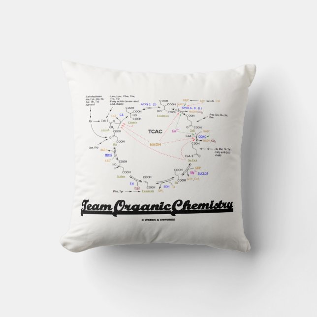 Team Organic Chemistry Krebs Cycle TCAC Kissen (Vorderseite)