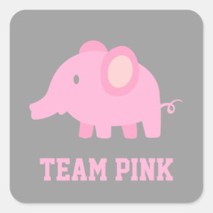Team Pink, Baby-Girl-Elefant, Geschlechter-Enthüll Quadratischer Aufkleber