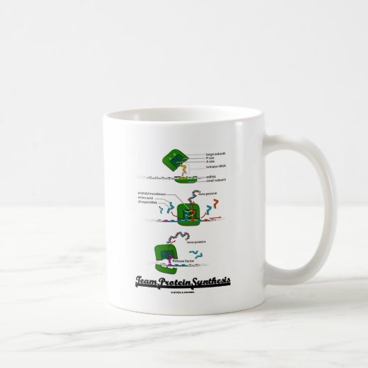 Team-Protein-Synthese Kaffeetasse (Rechts)