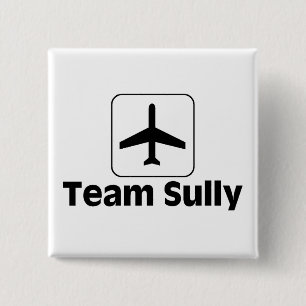 Team Sully Button