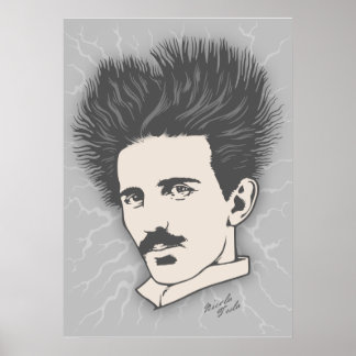Team Tesla Static Hair Poster