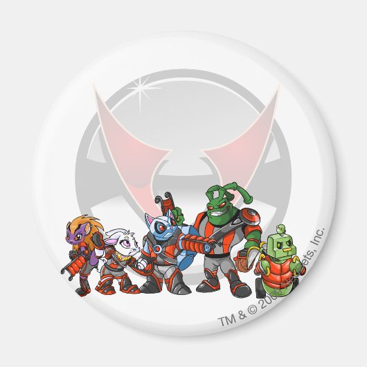 Team Virtupets Space Station Group Magnet (Vorne)