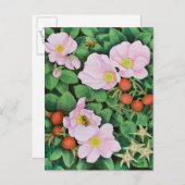 Teamarbeit 2011 postkarte (Vorne/Hinten)