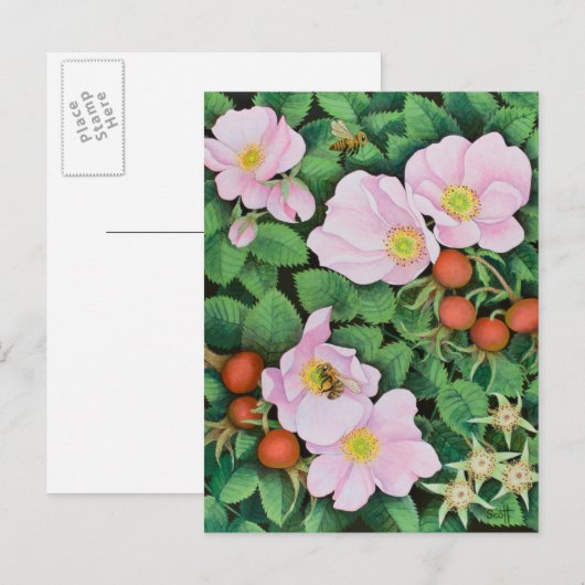 Teamarbeit 2011 postkarte (Vorne/Hinten)