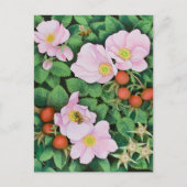 Teamarbeit 2011 postkarte (Vorderseite)