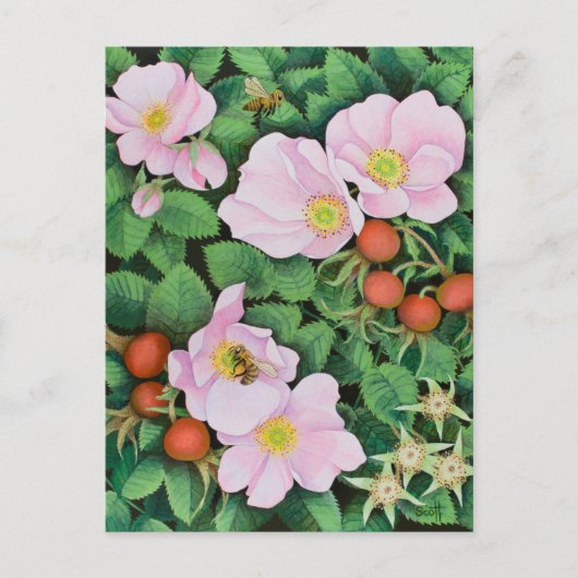 Teamarbeit 2011 postkarte (Vorderseite)