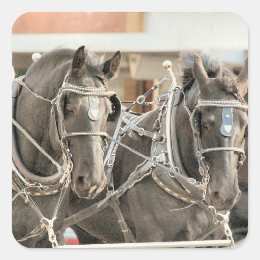 Teamarbeit Quadratischer Aufkleber (Vorderseite)