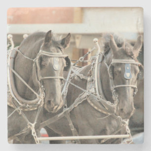 Teamarbeit Steinuntersetzer