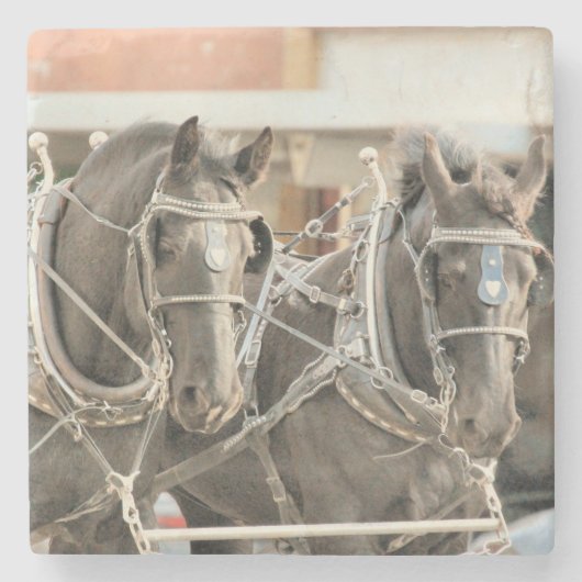 Teamarbeit Steinuntersetzer (Vorderseite)