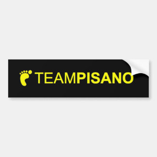 TeamPisano Autoaufkleber