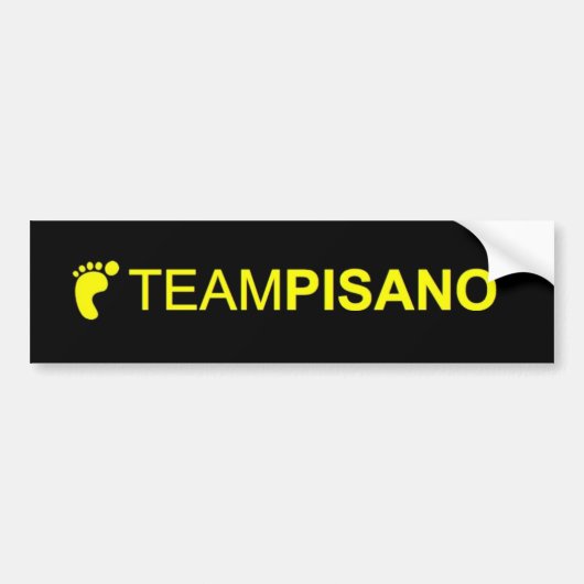 TeamPisano Autoaufkleber (Vorne)