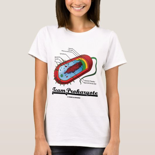 TeamProkaryote (Bakterien) T-Shirt (Vorderseite)
