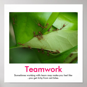 TEAMWORK demotivational Plakat