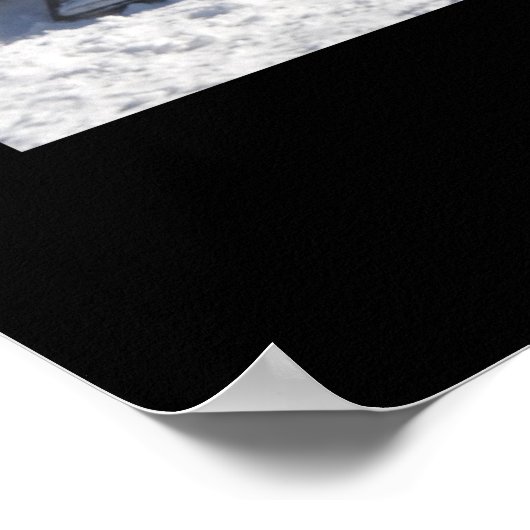 Teamwork Dog Sled Poster (Ecke)