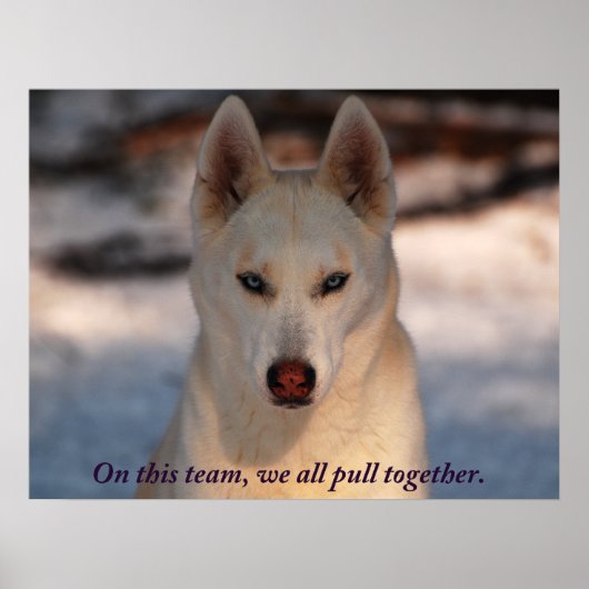 Teamwork Foto Poster (Vorne)