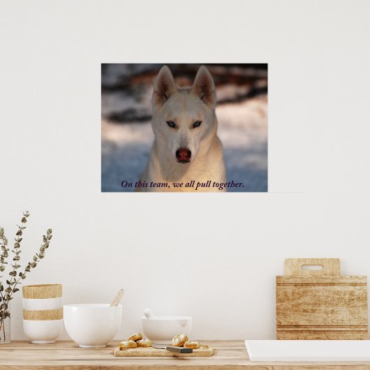 Teamwork Foto Poster (Küche)