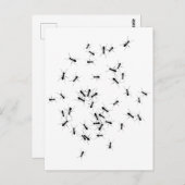 Teamwork macht Traumarbeit Postkarte (Vorne/Hinten)