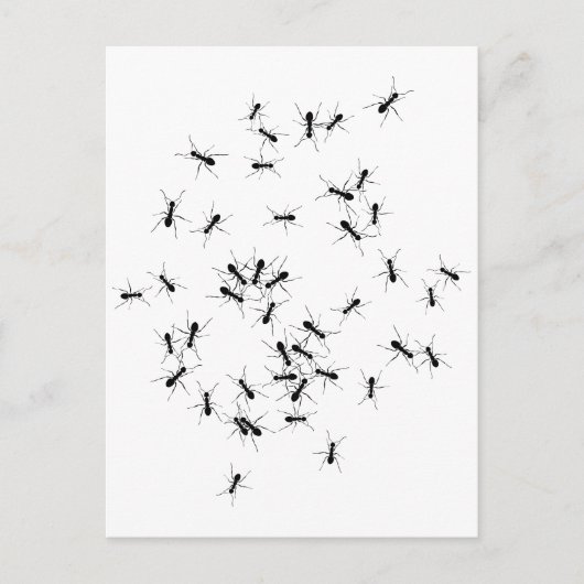 Teamwork macht Traumarbeit Postkarte (Vorderseite)