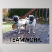 Teamwork Poster! Mops arbeiten zusammen! Poster (Vorne)