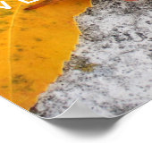 Teamwork Poster Print (Ecke)