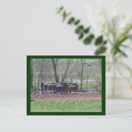 ~ Teamwork ~ Postkarte (Stehend Vorderseite)