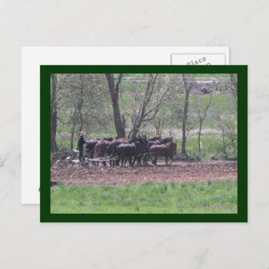 ~ Teamwork ~ Postkarte (Vorne/Hinten)