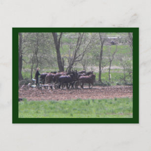 ~ Teamwork ~ Postkarte