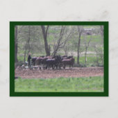 ~ Teamwork ~ Postkarte (Vorderseite)