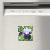 Teamwork - Tall Bearded Iris Magnet (In Situ (Geschirrspüler))