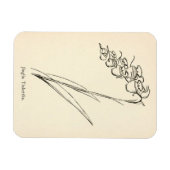 Teapot Blume Pflanze Vintage Jinglia tinkettlia Magnet (Horizontal)