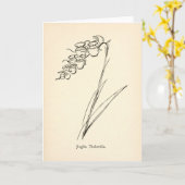 Teapot Blume Vintage Illustration Unsinn Botanik Karte (Gelbe Blume)