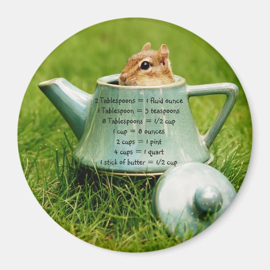 Teapot Chipmunk Measurement Equivalents Magnet (Vorne)