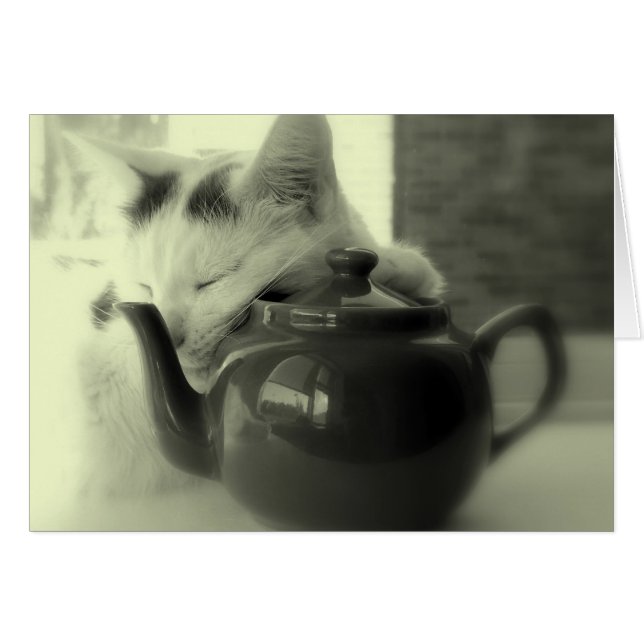 Teapot Pillow (Vorderseite (Horizontal))