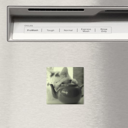 Teapot Pillow Magnet (In Situ (Geschirrspüler))