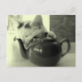 Teapot Pillow Postkarte (Vorderseite)