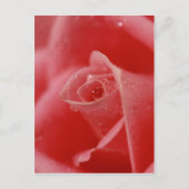 Teardrop Postkarte (Vorderseite)