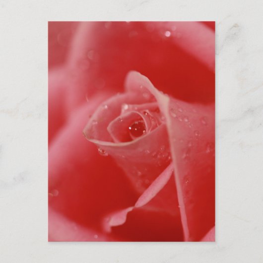 Teardrop Postkarte (Vorderseite)