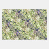 Teasel, Emelia und William Morris Geschenkpapier Set (Vorderseite)