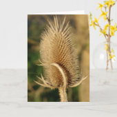 Teasel Karte (Gelbe Blume)