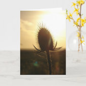 Teasel Sunset Karte (Gelbe Blume)
