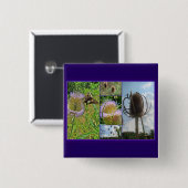 Teasel Thistle - Dipsacus fullonum Button (Vorne & Hinten)