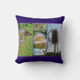 Teasel Thistle - Dipsacus fullonum Kissen