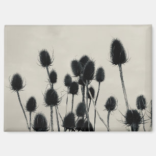 Teasels Magnet